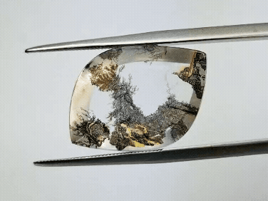 10.20ct Dendrita 21x15mm