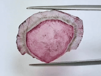 10.90ct Watermelon Tourmaline 26x19mm