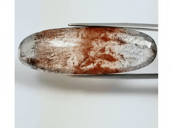 36.90ct Dendrita 46x16mm