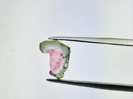 4.80ct Watermelon Tourmaline Pair 11x8mm