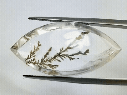 41.40ct Dendrite 32x18mm 33x16mm