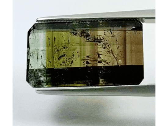 15.10ct Tourmaline Bicolor 20x11mm