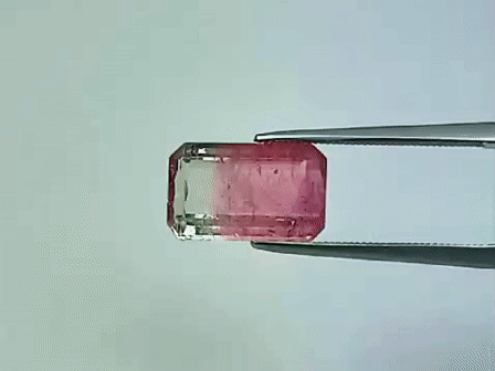 5.05ct Turmalina Bicolor 13x8mm