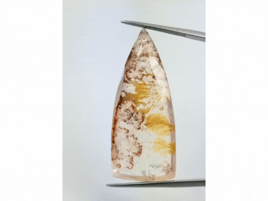 61.80ct Dendrita 48x18mm