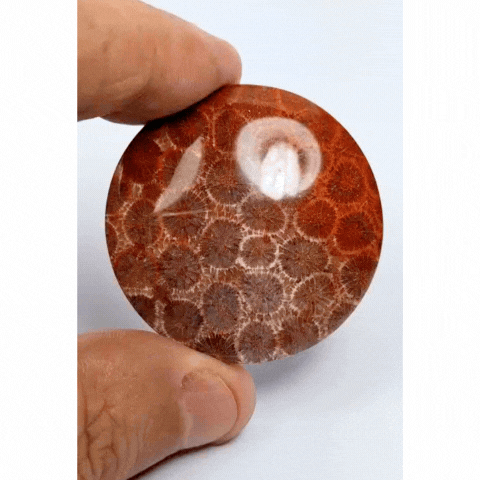 94.50ct Petoskey Stone 40mm