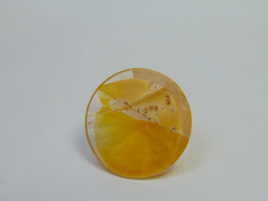 34.20ct Dendrita 24mm