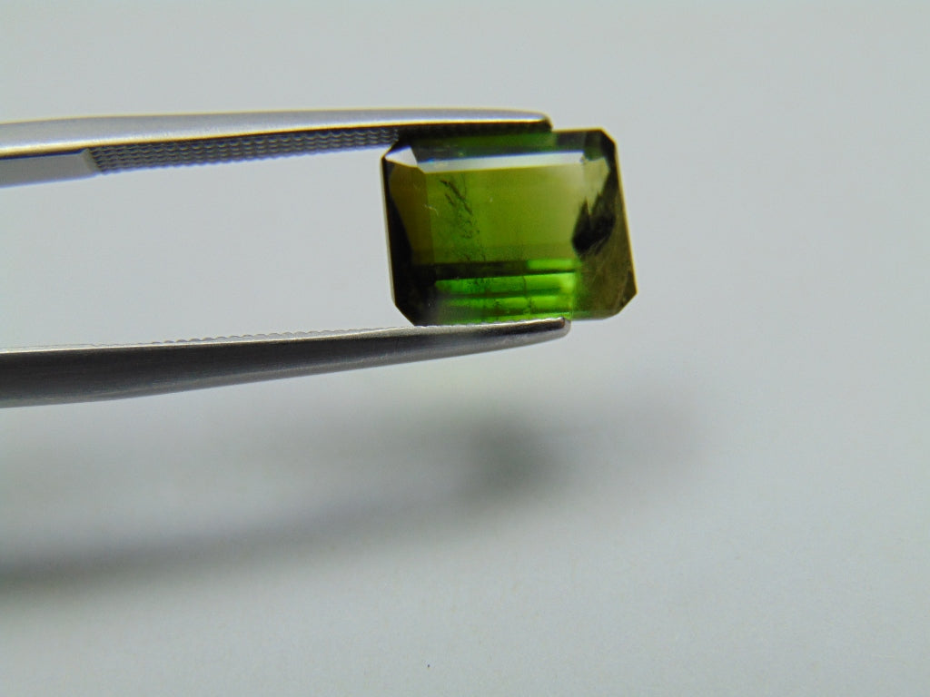 3,50ct Turmalina Bicolor 10x8mm