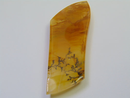 98.50ct Dendrita 65x23mm