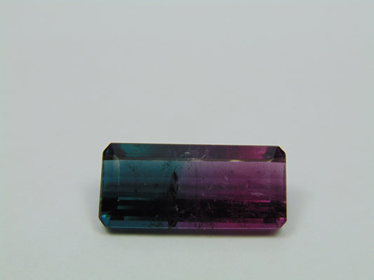 16.10ct Turmalina Bicolor 24x12mm