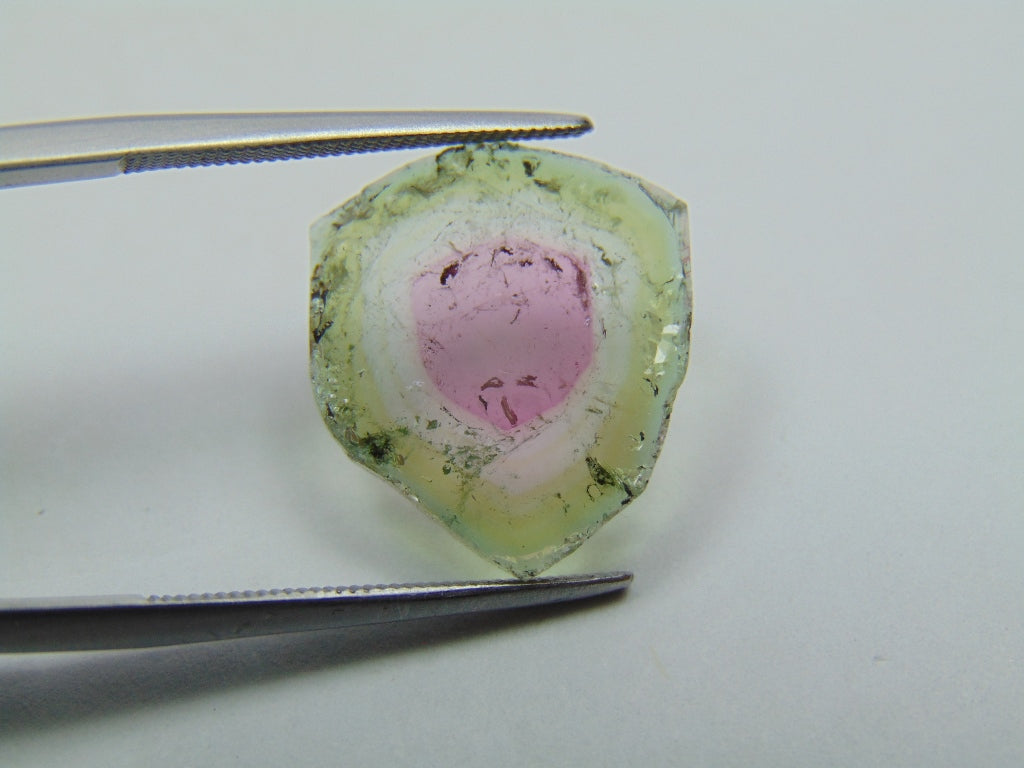 Turmalina Melancia 6,68ct 15mm