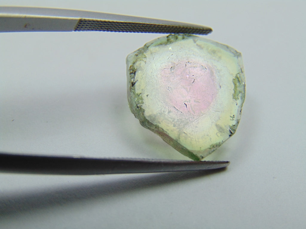 Turmalina Melancia 6,68ct 15mm
