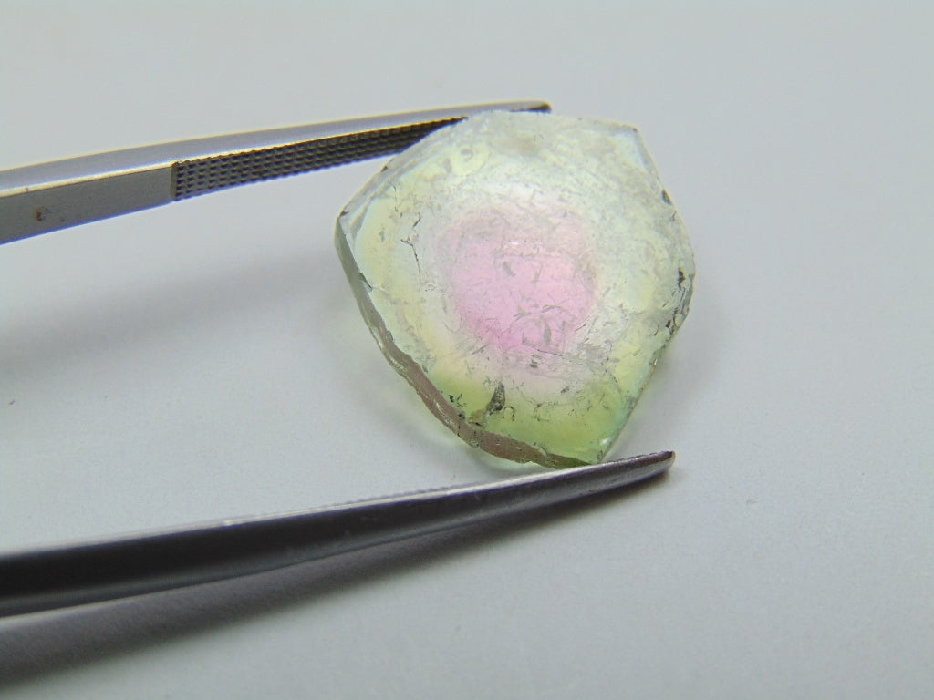 Turmalina Melancia 6,68ct 15mm