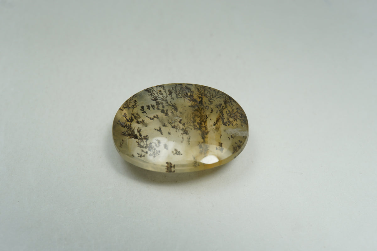 13.17ct Dendrita 19x15mm