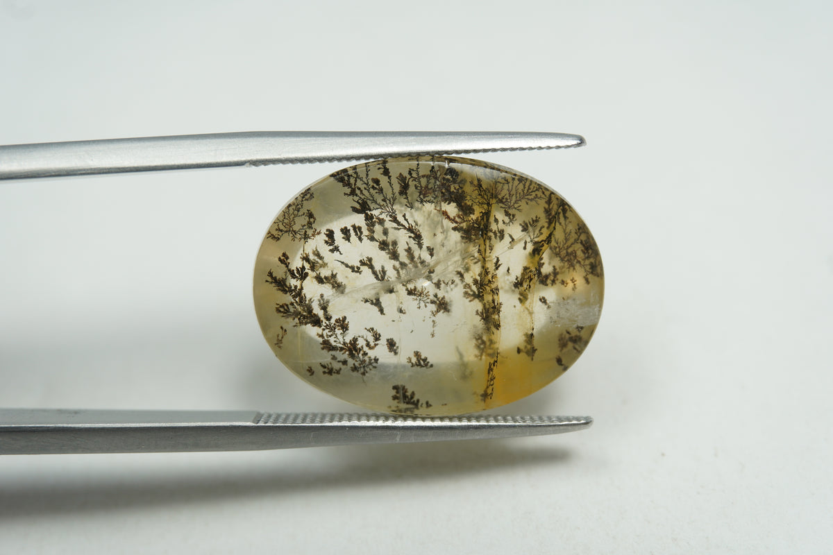 13.17ct Dendrita 19x15mm