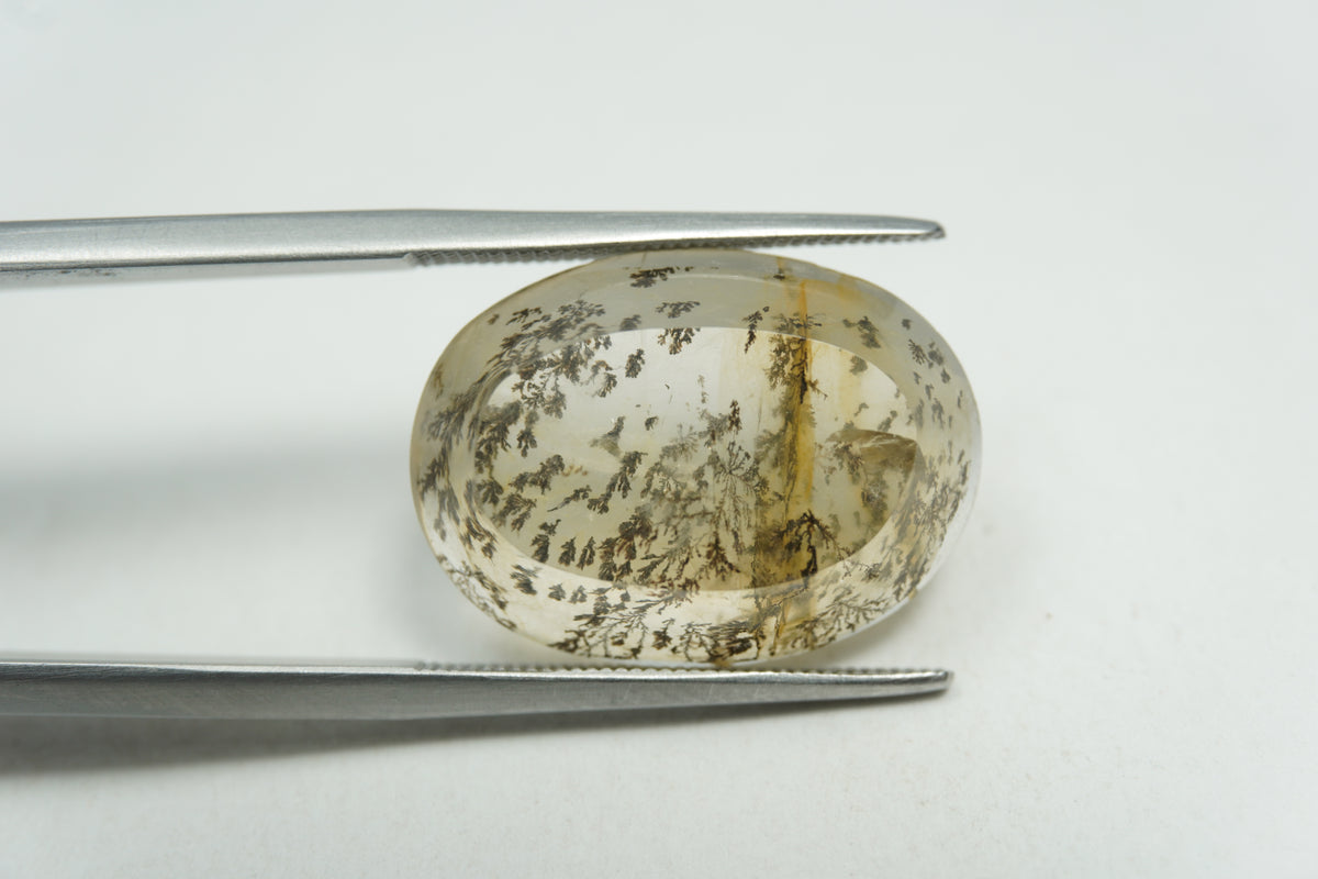 13.17ct Dendrita 19x15mm