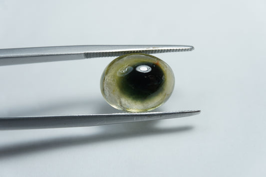 5.85ct Turmalina bicolor cabochão 12x10mm