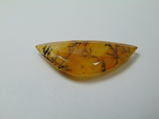 26.30ct Dendrite 38x27mm