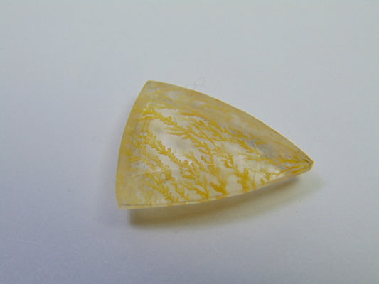 14.30ct Dendrita 20x17mm