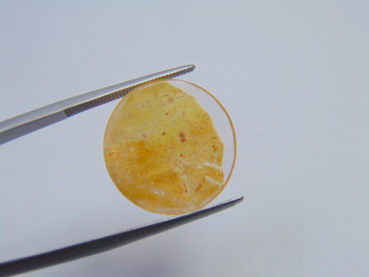 14.40ct Dendrita 17mm