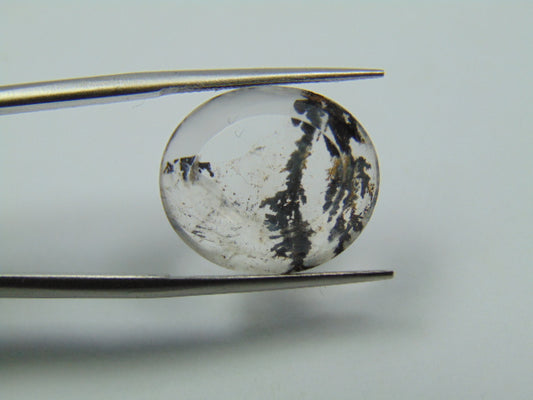 9.70ct Dendrita 17x15mm