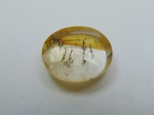 16.05ct Dendrita 18x16mm