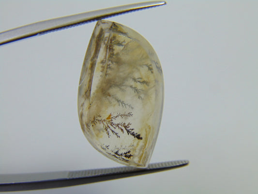 12.30ct Dendrita 22x12mm
