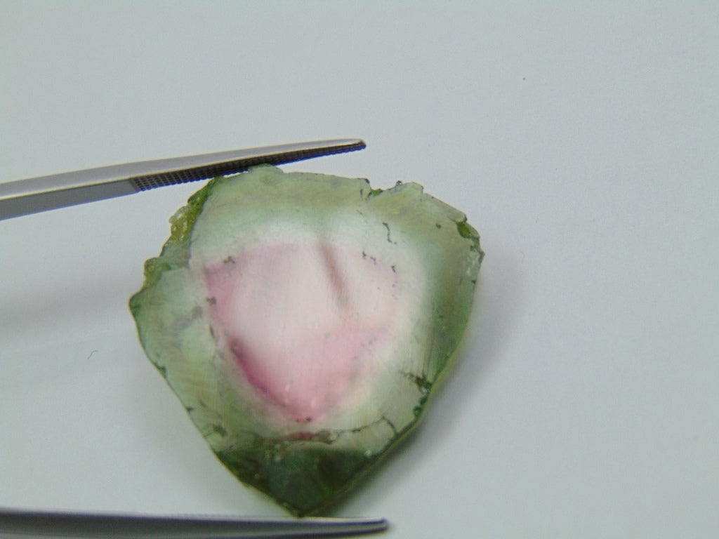 Turmalina Melancia 32,19ct 27,5x25mm