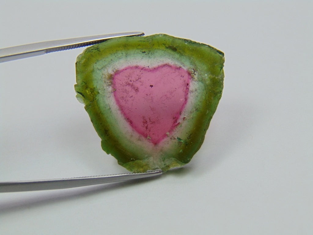 Turmalina Melancia 32,19ct 27,5x25mm