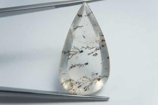24.45ct Dendrita 33x18mm