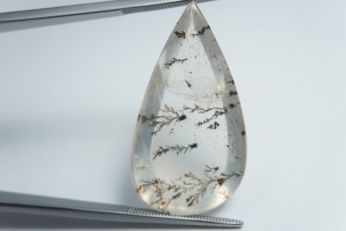 Dendrita 24,45 ct 33x18mm