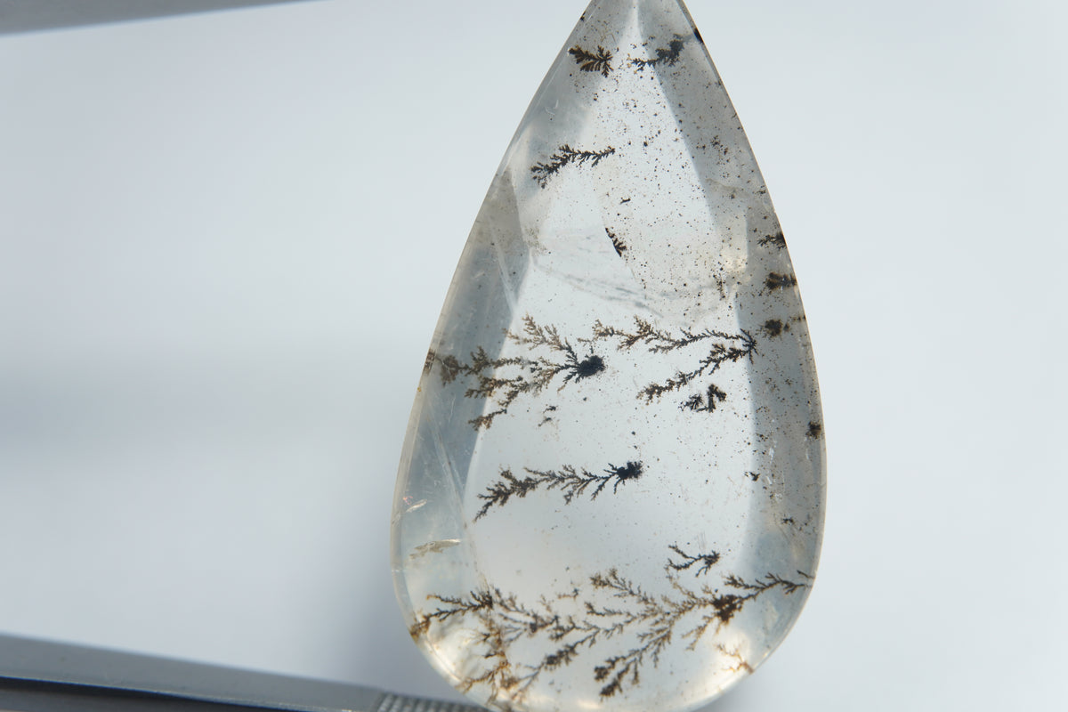 Dendrita 24,45 ct 33x18mm