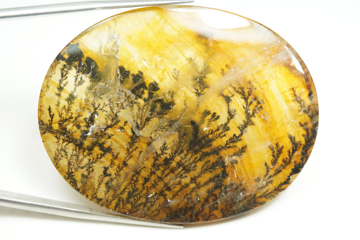 124.89ct Dendrita 40x20mm