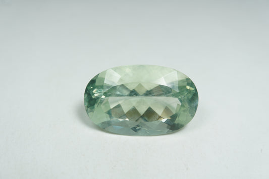 14.59ct Prasiolita 21x13mm