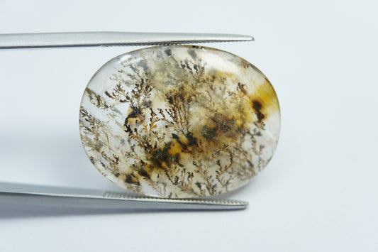 20.20ct Dendrita 25x19mm