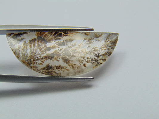 19.60ct Dendrite 33x13mm
