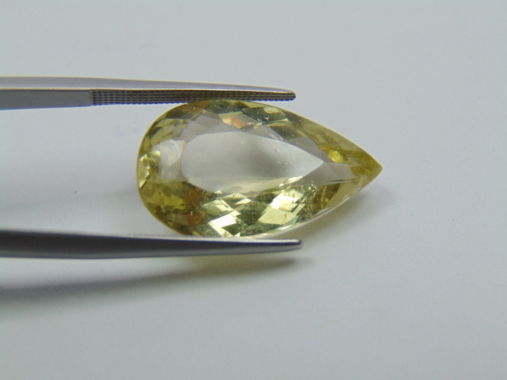 13.10ct Beryl 22x13mm
