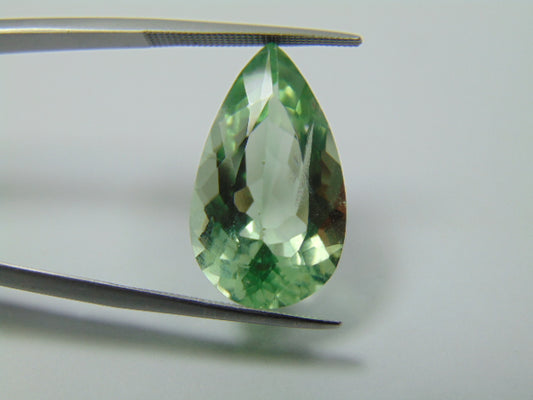 12.48ct Prasiolite 22x12mm