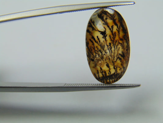 7.60ct Dendrita 18x11mm