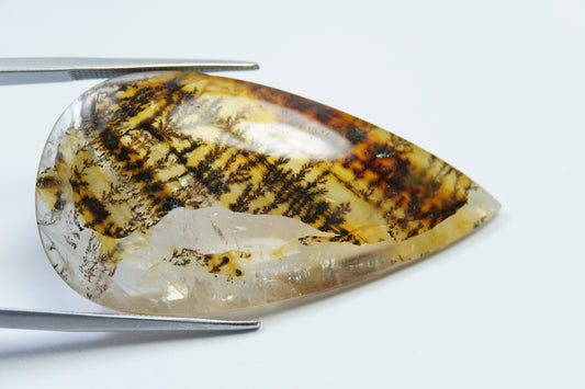 50ct Dendrita 46x23mm