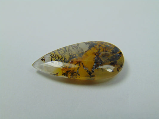 10.65ct Dendrita 25x12mm