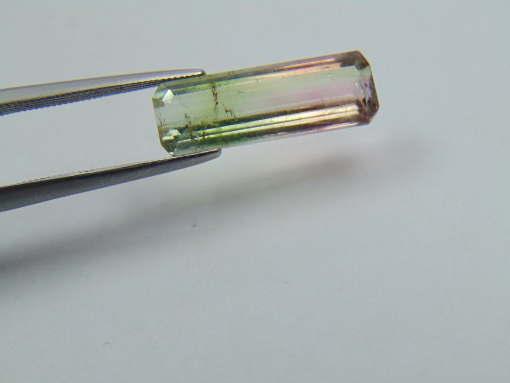 Turmalina Bicolor 5,30ct 18x6mm