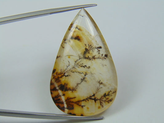 52.25ct Dendrita 41x26mm