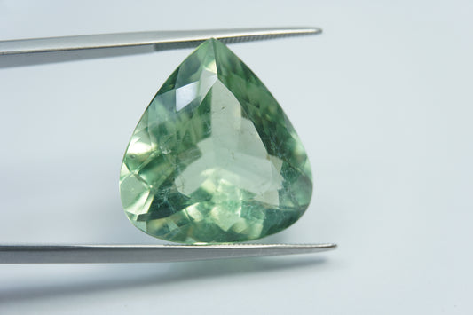 24.50ct Prasiolita 23x20mm