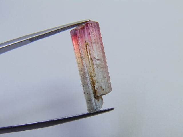 Peça de Turmalina Bicolor 9,70ct 25x7mm