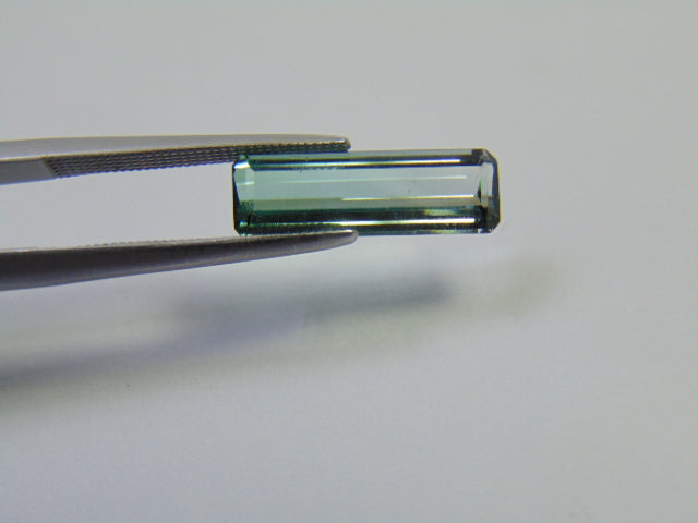 Turmalina Bicolor 3,15ct 16x5mm