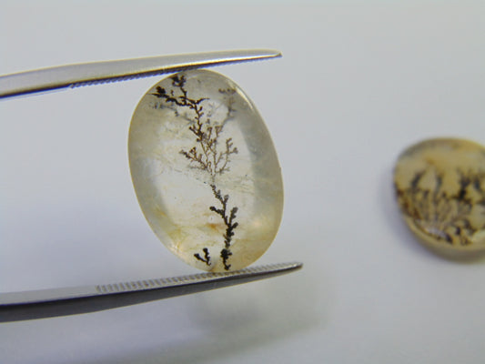 16.30ct Dendrite 16x14mm 17x13mm