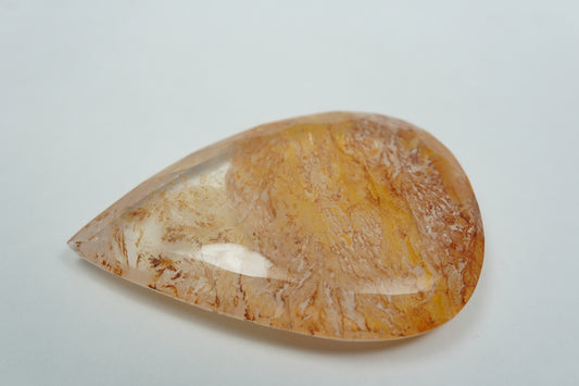 58.89ct Dendrita 43x29mm