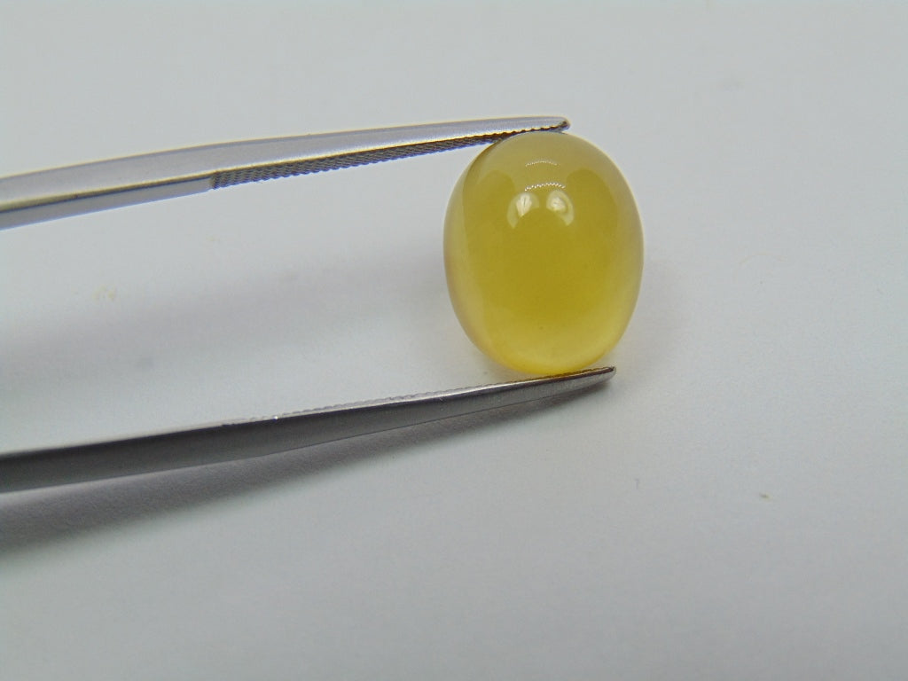 Berilo Cabochão 6ct 12x10mm