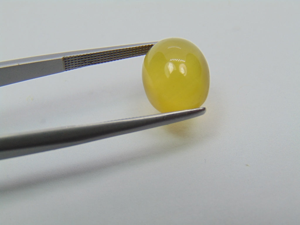 Berilo Cabochão 6ct 12x10mm