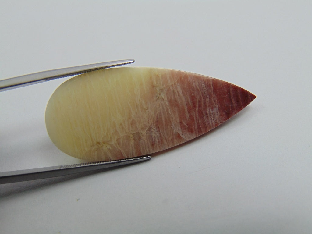 32.30ct Quartz Bicolor 44x18mm